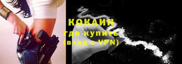 сатива Киренск