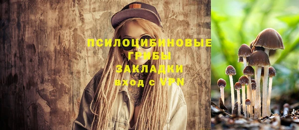 spice Киреевск